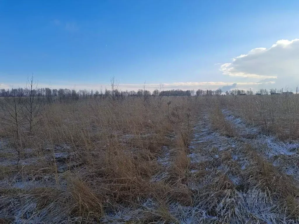 Участок в Московская область, Кашира городской округ, д. Тарасково ... - Фото 0