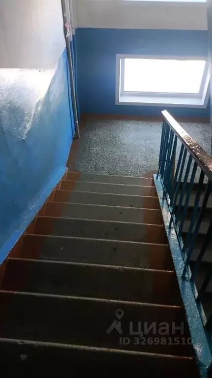 1-к кв. Алтайский край, Барнаул ул. Антона Петрова, 240 (34.0 м) - Фото 1