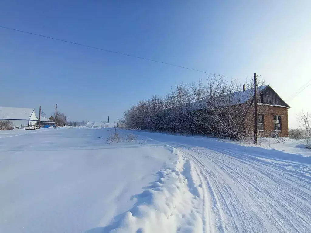 Производственное помещение в Алтайский край, Смоленский район, с. ... - Фото 2