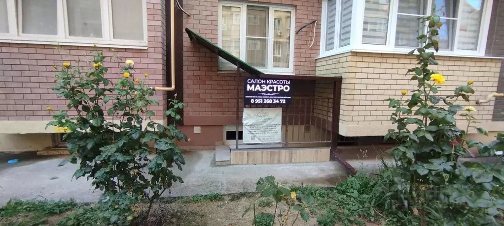 Помещение свободного назначения в Краснодарский край, Анапа ... - Фото 2