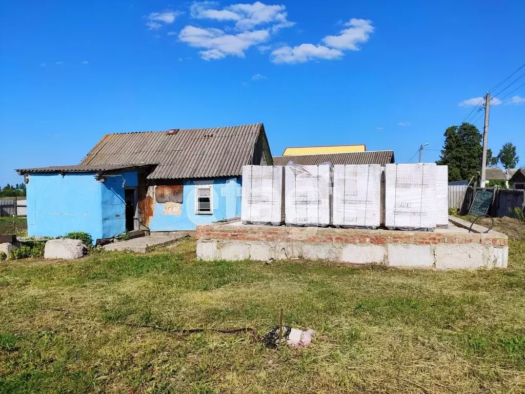 Дом в Белгородская область, Алексеевский городской округ, с. Глуховка ... - Фото 0