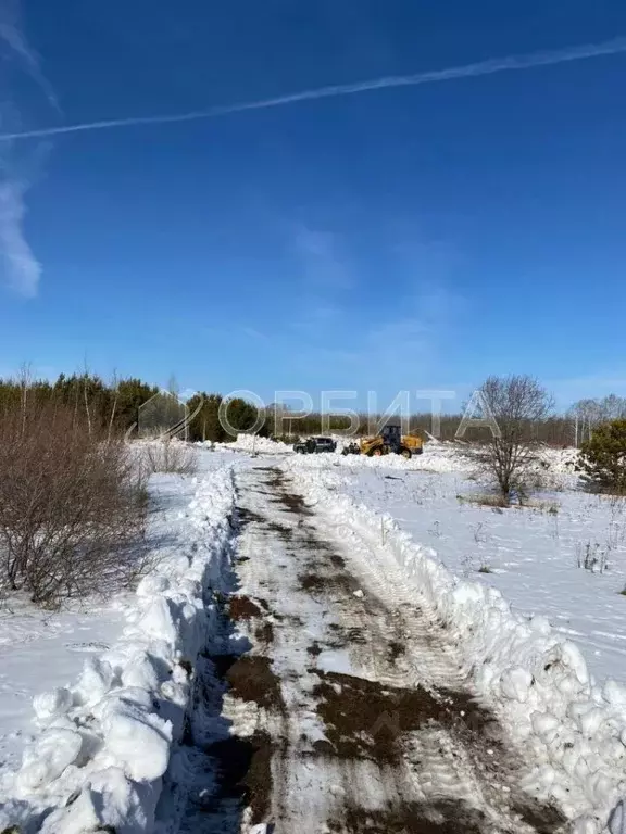 Участок в Тюменская область, Нижнетавдинский район, д. Штакульская  ... - Фото 1