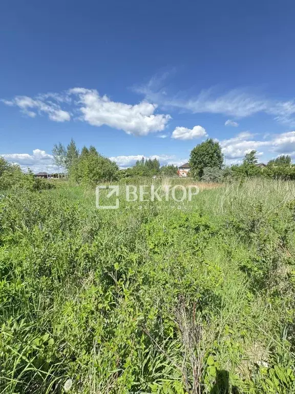 Участок в Костромская область, Кострома ул. Героев (8.6 сот.) - Фото 1