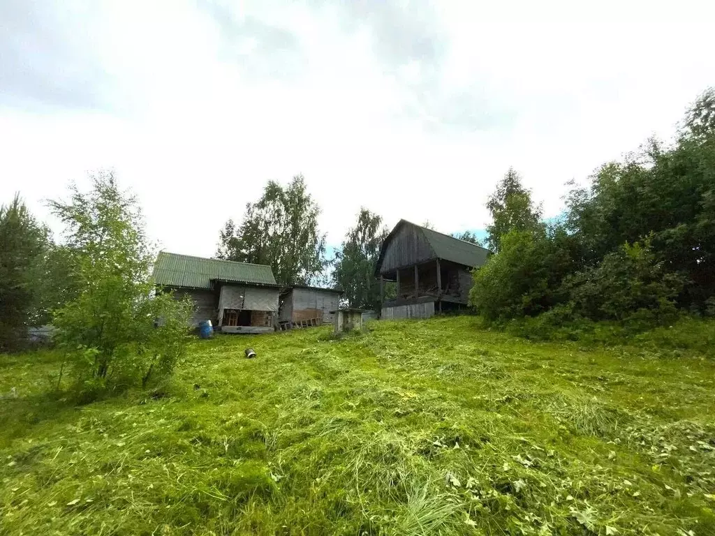 Дом в Архангельская область, Приморский муниципальный округ, Березка ... - Фото 1