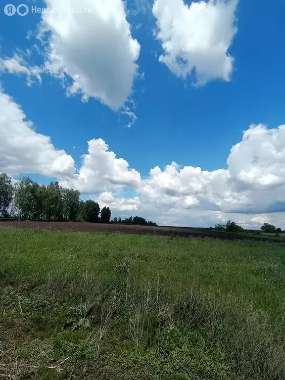 Участок в Липецкий муниципальный округ, село Сенцово (3130 м) - Фото 0