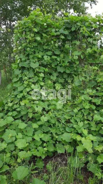 Участок в Тульская область, Ясногорский район, Ревякинское с/пос, № 55 ... - Фото 1