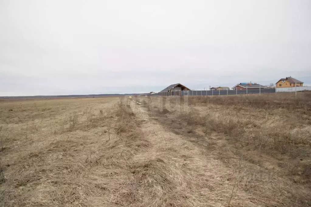 Участок в Калужская область, Дзержинский муниципальный округ, с. ... - Фото 2