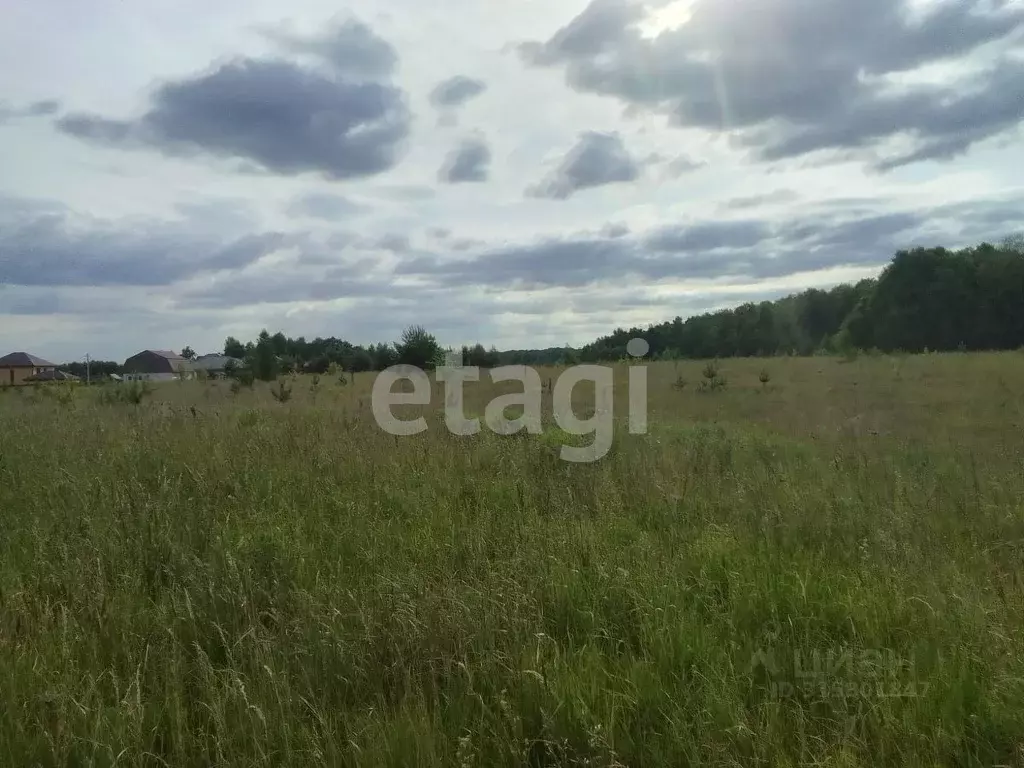 Участок в Брянская область, Брянский район, Новодарковичское с/пос, д. ... - Фото 2