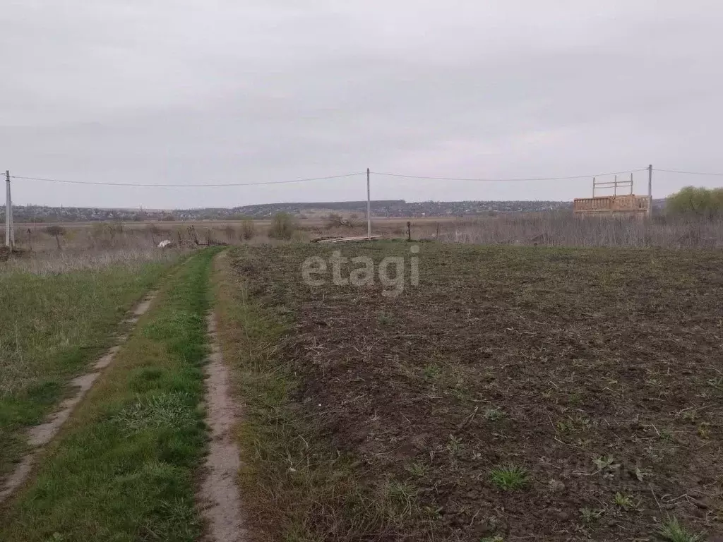 Участок в Воронежская область, Рамонский район, Новоживотинновское ... - Фото 1