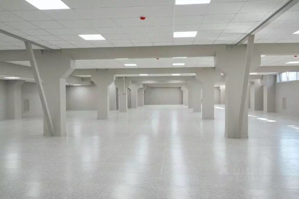 Помещение свободного назначения в Санкт-Петербург, Санкт-Петербург, ... - Фото 2