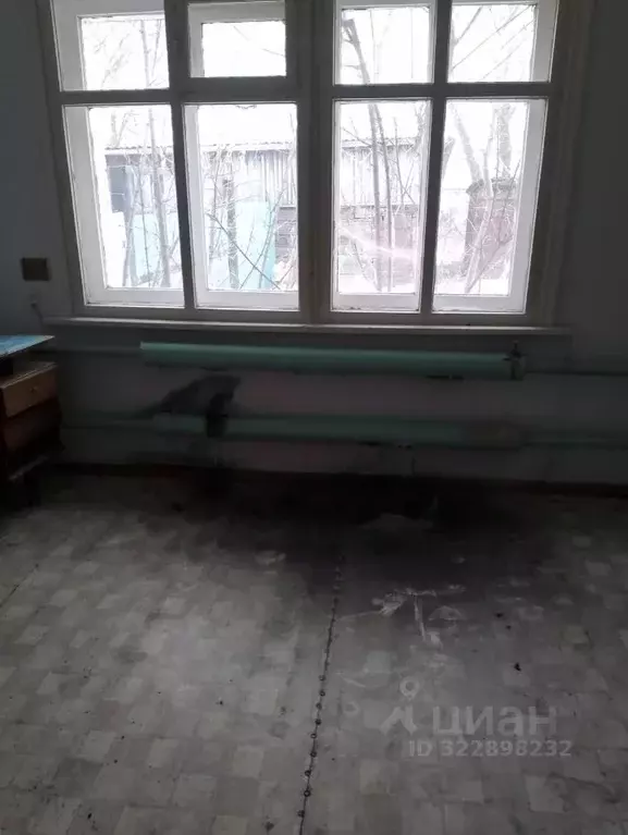 Помещение свободного назначения в Курганская область, Щучанский ... - Фото 1