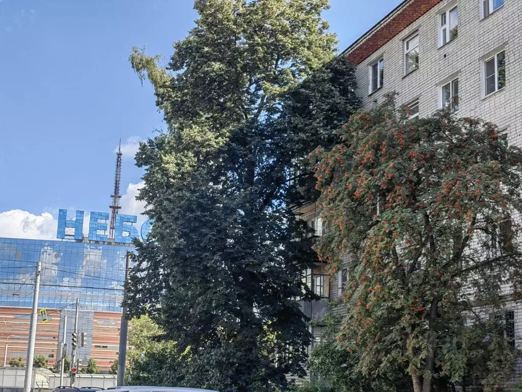 2-к кв. Нижегородская область, Нижний Новгород Ильинская ул., 149 ... - Фото 1