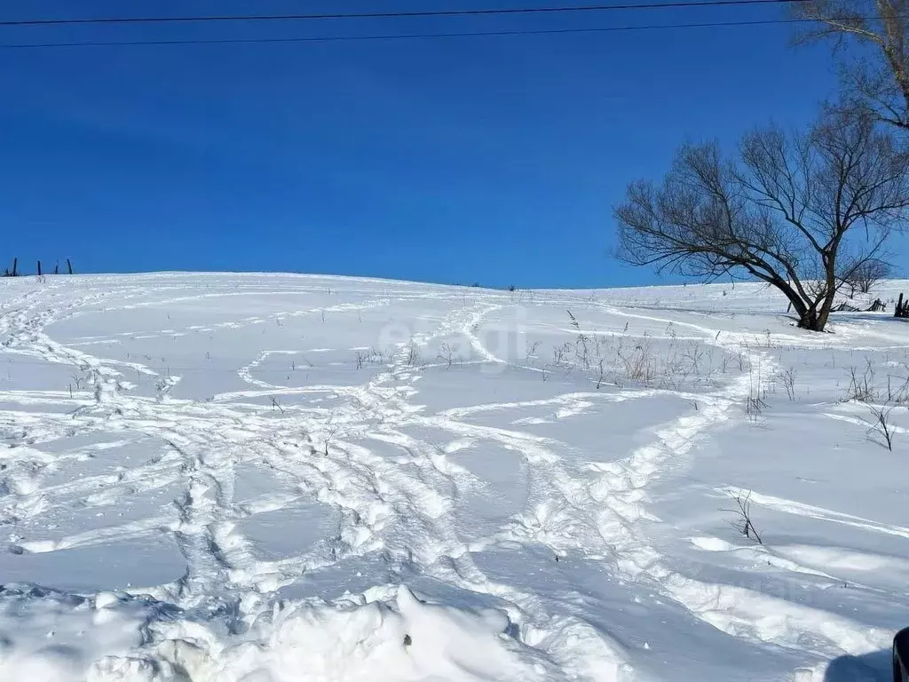 Участок в Алтай, Горно-Алтайск Алтайская ул. (20.0 сот.) - Фото 0