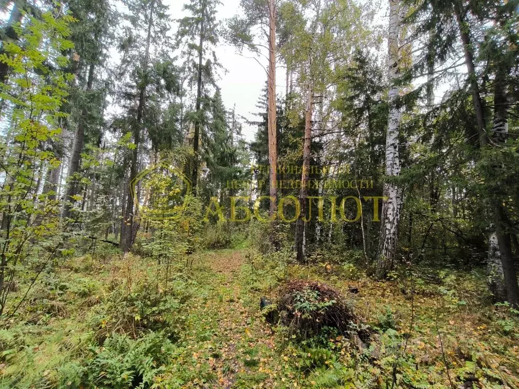 Участок в Свердловская область, Ревда ул. Полевая (14.92 сот.) - Фото 1