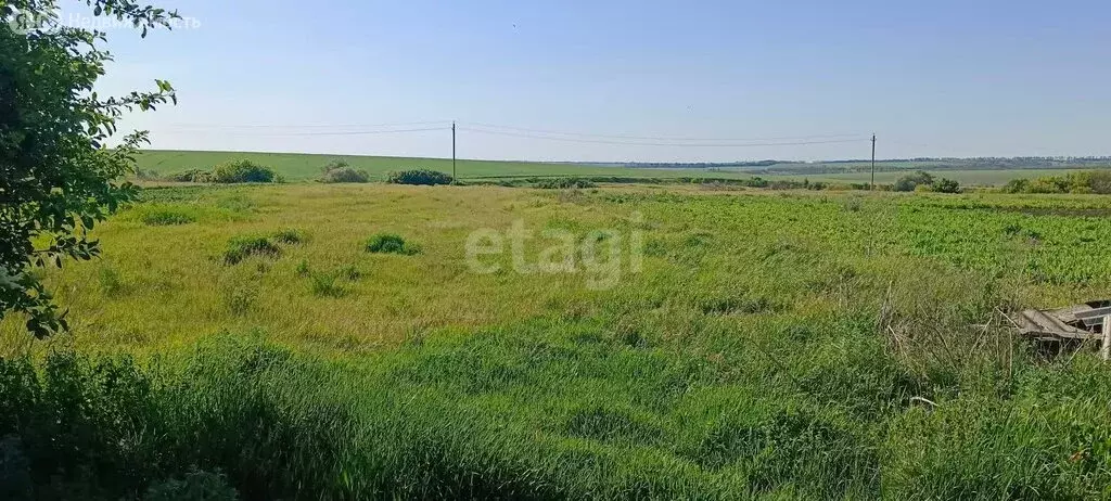 Участок в Белгородская область, рабочий посёлок Волоконовка, ... - Фото 1