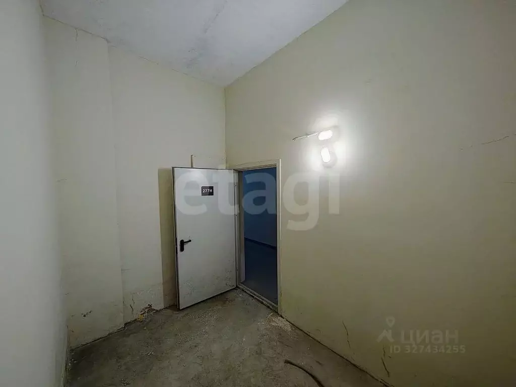 Помещение свободного назначения в Санкт-Петербург просп. Тореза, 118 ... - Фото 2