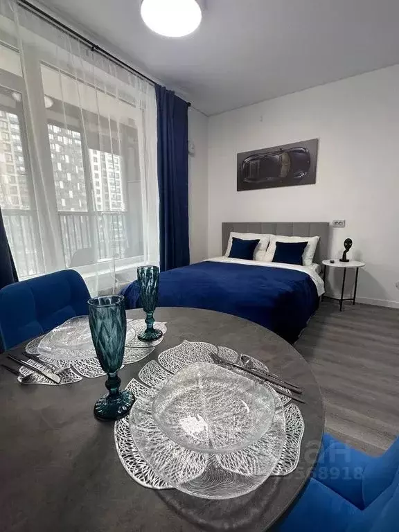Студия Санкт-Петербург Дальневосточный просп., 19к1 (24.0 м) - Фото 0
