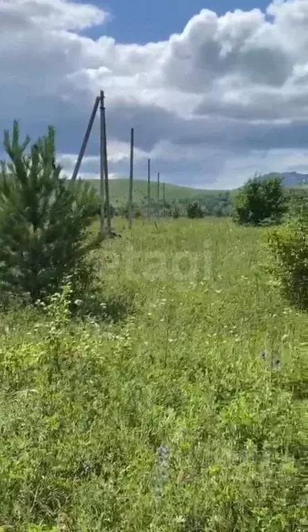 Участок в Алтайский край, Советский район, с. Платово  (12.0 сот.) - Фото 2