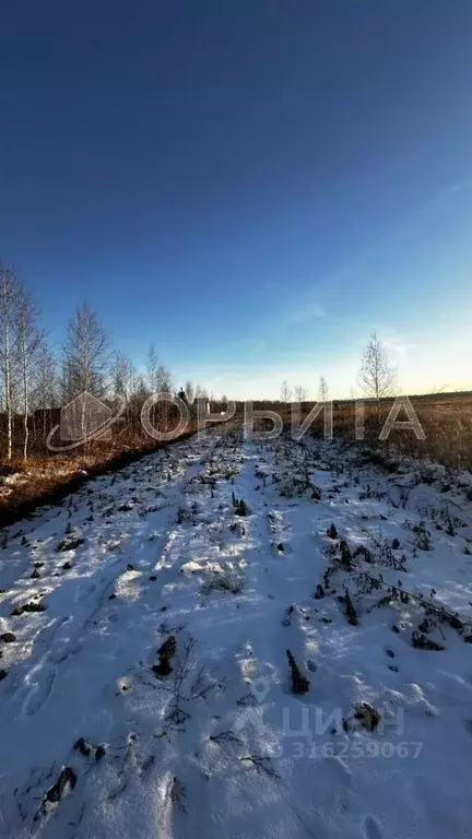 Участок в Тюменская область, Тюменский район, Казарма урочище  (5.16 ... - Фото 1
