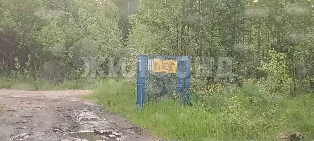 Участок 13 сот. (ИЖС) - Фото 1