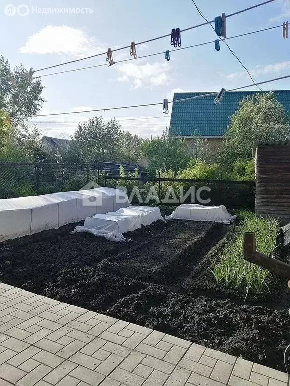 Дом в Бийск, Сибирская улица, 158 (45 м) - Фото 2