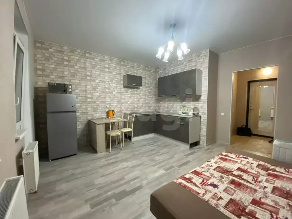 Студия Санкт-Петербург Усть-Славянка тер., ул. Заводская, 15 (24.0 м) - Фото 1