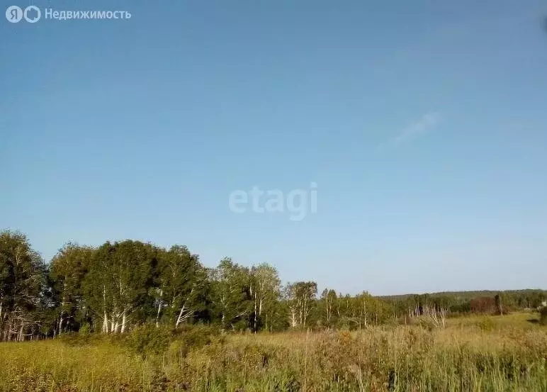 Участок в Мошковский район, посёлок Емельяновский, Тихая улица (10 м) - Фото 0