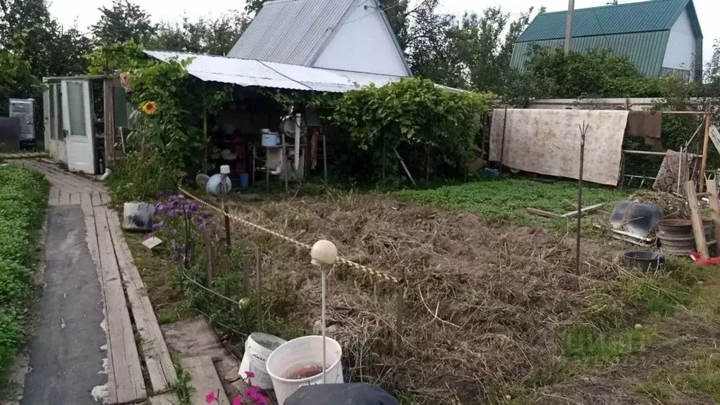 Дом в Орловская область, Урицкий район, Котовское с/пос, Нарышкино ... - Фото 1