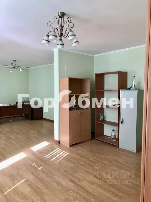 Помещение свободного назначения в Московская область, Богородский ... - Фото 1