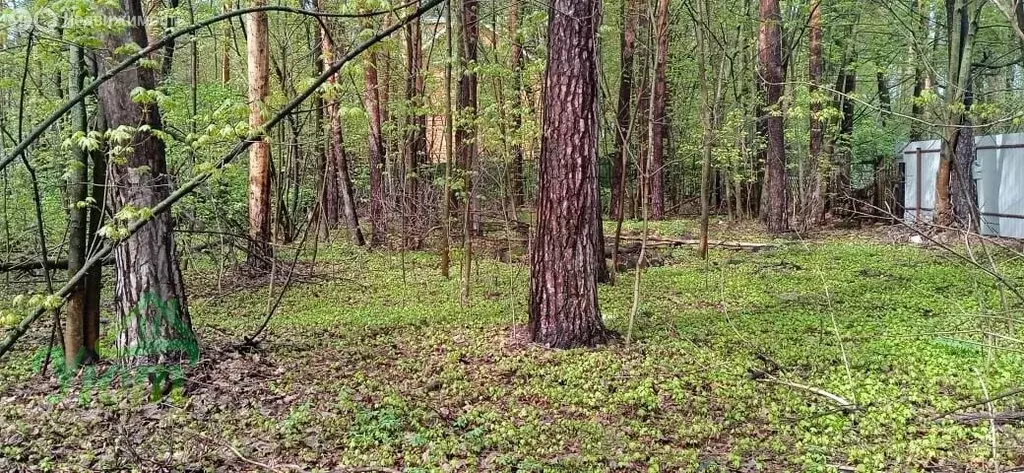 Участок в Раменский городской округ, рабочий посёлок Быково, ... - Фото 0