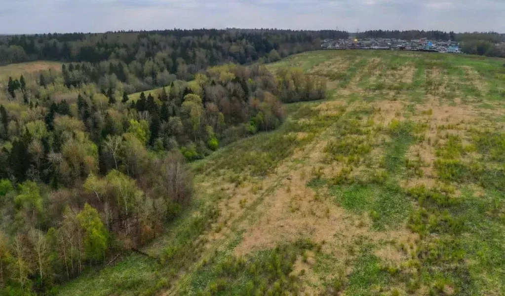 Участок в Московская область, Клин городской округ, д. Соголево  ... - Фото 0