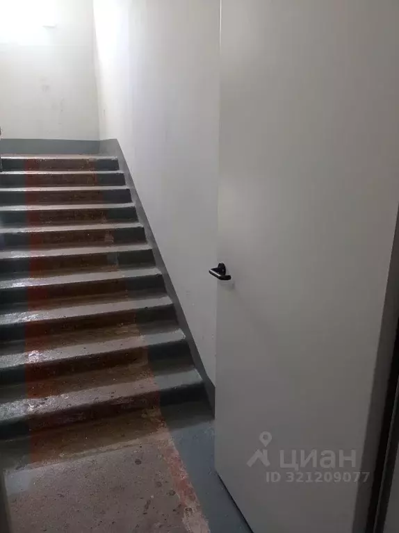 Комната Белгородская область, Строитель Яковлевский городской округ, ... - Фото 2