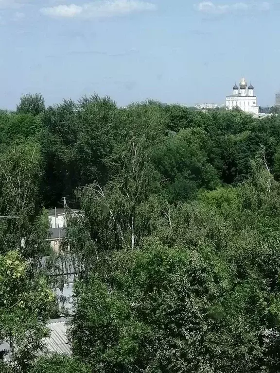 3-к кв. Псковская область, Псков Госпитальная ул., 15 (63.0 м) - Фото 2