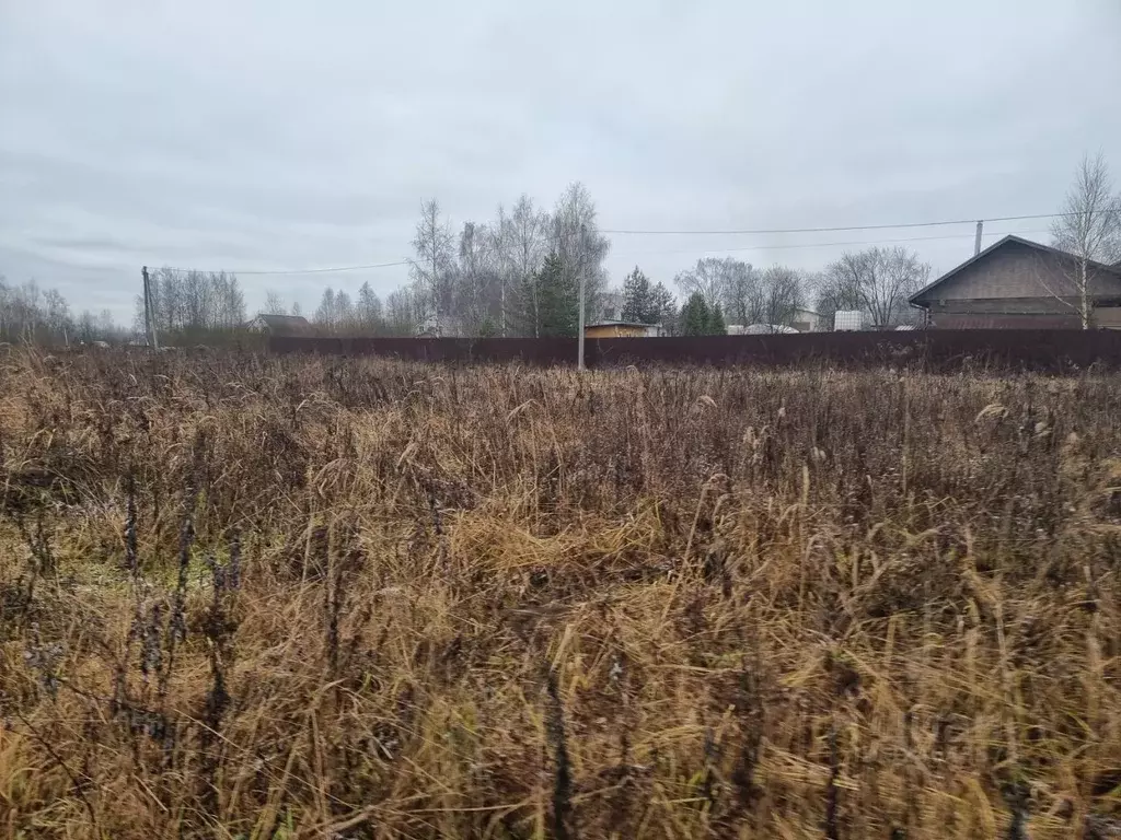 Участок в Владимирская область, Александровский муниципальный округ, ... - Фото 1