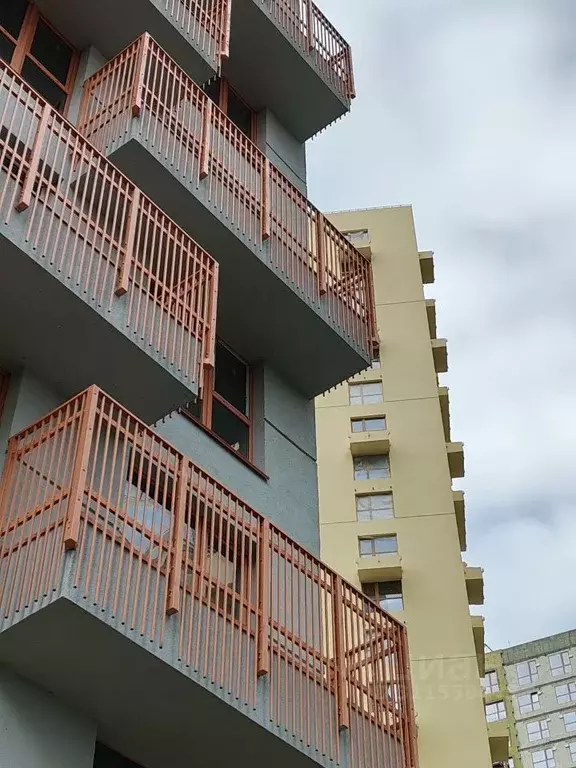 Студия Алтайский край, Барнаул городской округ, Южный рп  (29.3 м) - Фото 1