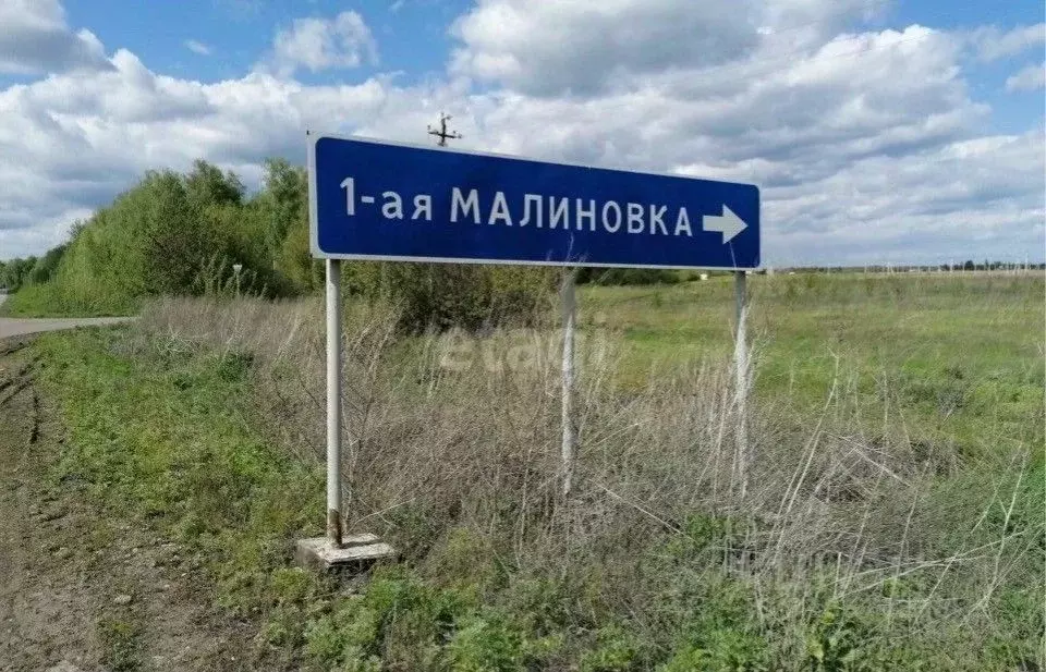 Участок в Тамбовская область, Тамбовский муниципальный округ, д. ... - Фото 2