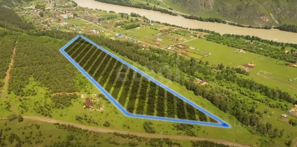 Участок в Алтай, Чемальский район, с. Анос  (23.38 сот.) - Фото 1