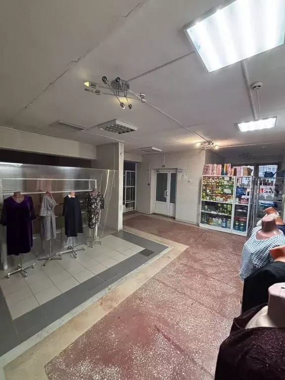 Помещение свободного назначения в Челябинская область, Миасс Садовый ... - Фото 2