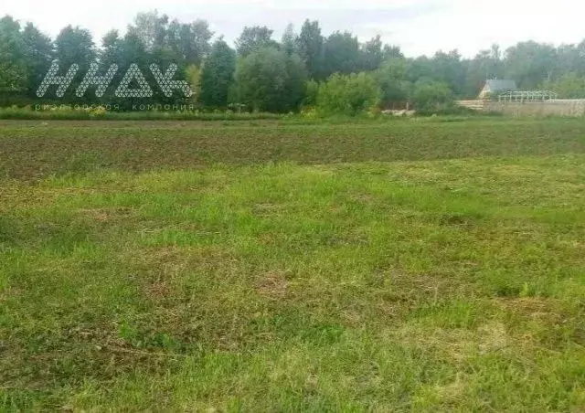 Участок в Нижегородская область, Богородский муниципальный округ, д. ... - Фото 1