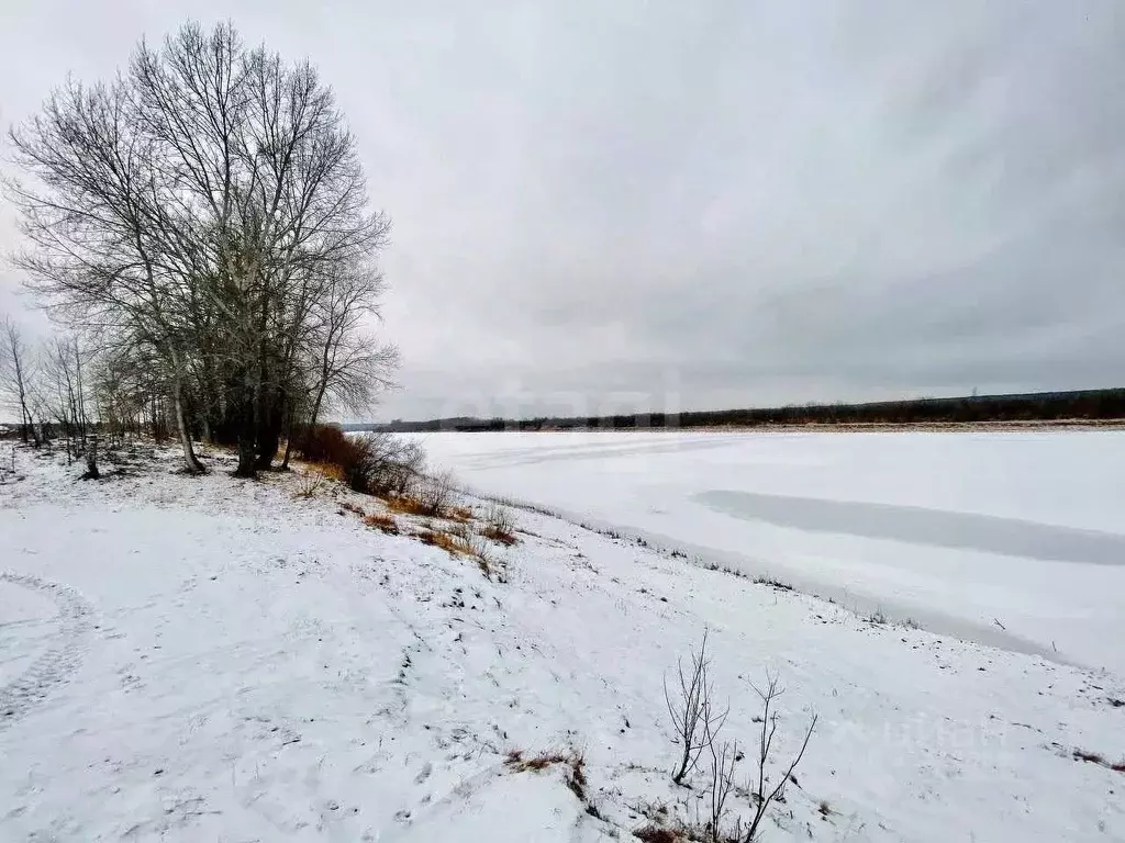 Участок в Тюменская область, Тюменский муниципальный округ, Каменское ... - Фото 2