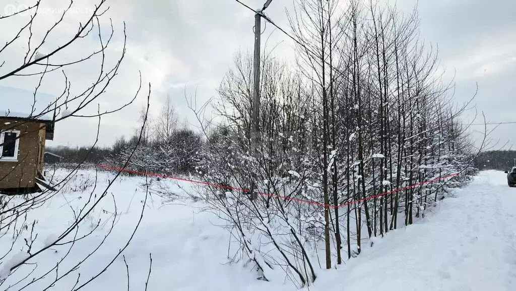 Участок в Кировский район, Синявинское городское поселение, ... - Фото 0