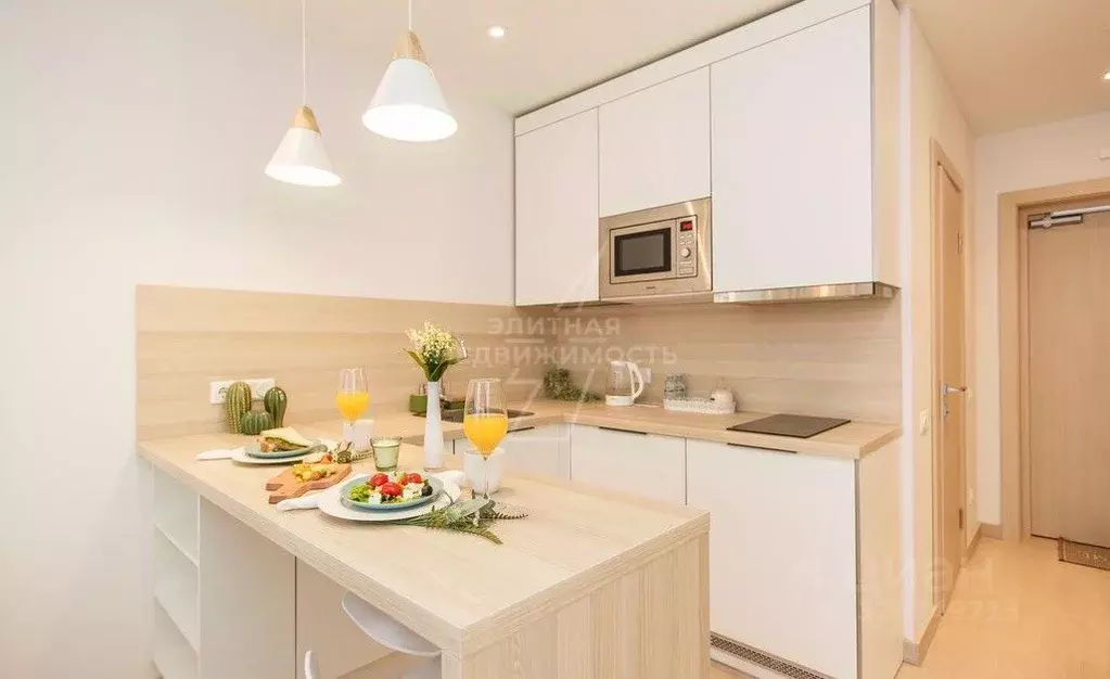 Студия Санкт-Петербург Социалистическая ул., 21 (28.0 м) - Фото 2