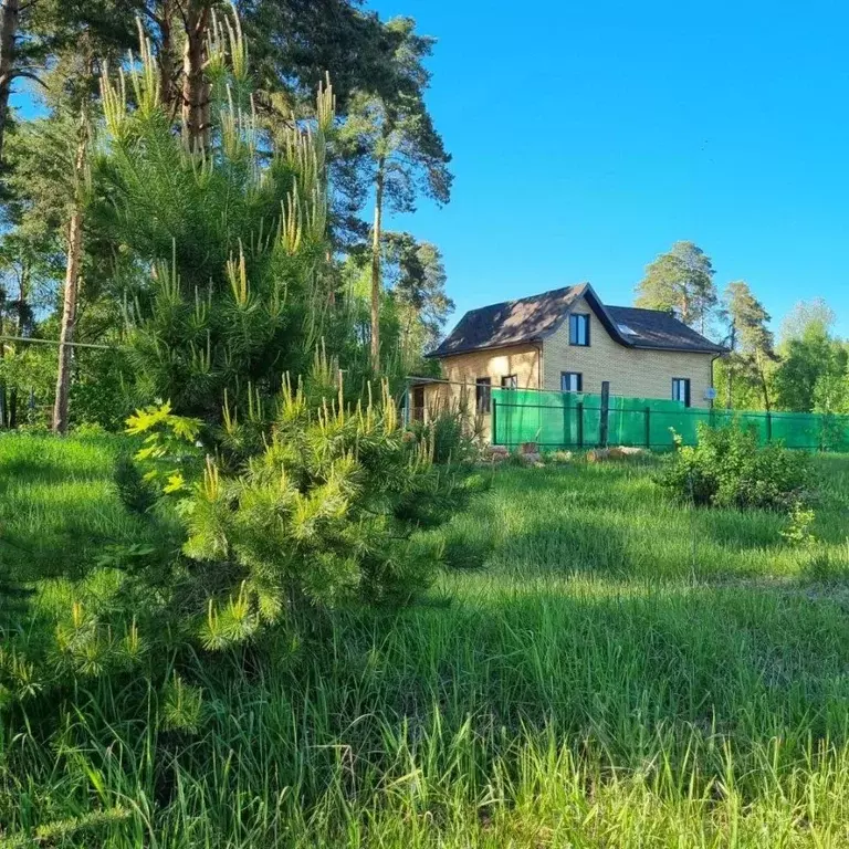 Участок в Татарстан, Зеленодольский район, Васильево муниципальное ... - Фото 1