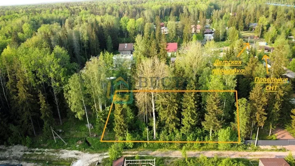 Участок в Ленинградская область, Тосненский район, Никольское ... - Фото 1