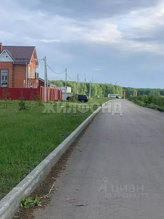 Участок в Новосибирская область, Новосибирский район, Толмачевский ... - Фото 2