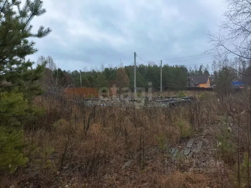 Участок в Архангельская область, Котлас ул. Бор (10.0 сот.) - Фото 1