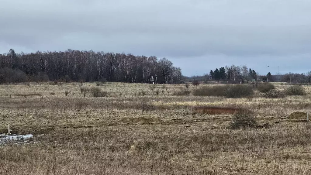 Участок в Калининградская область, Зеленоградский муниципальный округ, ... - Фото 2