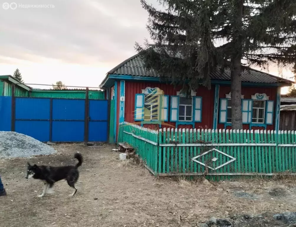 Дом в Новосибирская область, Куйбышев (56 м) - Фото 2