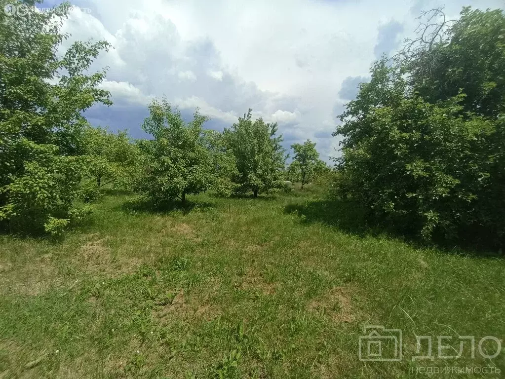Дом в село Исады, улица Василия Игонина, 70 (48.3 м) - Фото 1