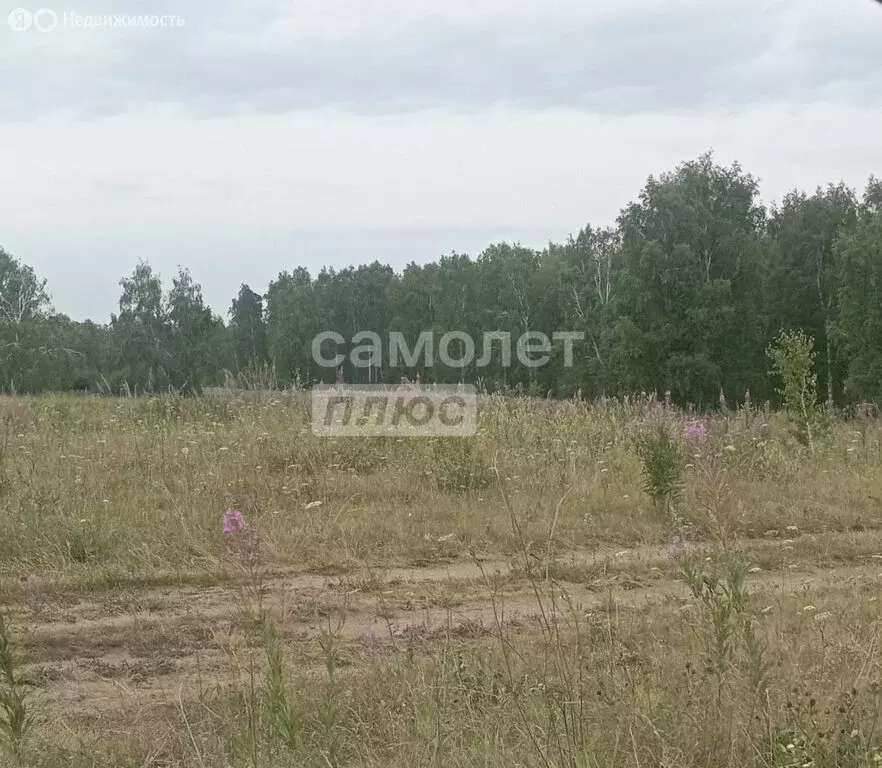 Участок в Челябинская область, Сосновский муниципальный округ, деревня ... - Фото 1